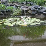 Zum Rosengarten 2*