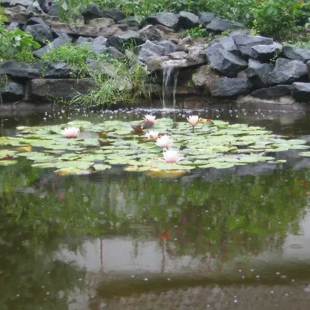 Zum Rosengarten 2*